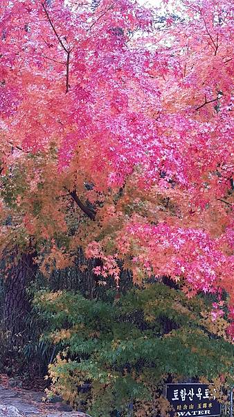 20151113_120200.jpg 20151113_120200.jpg