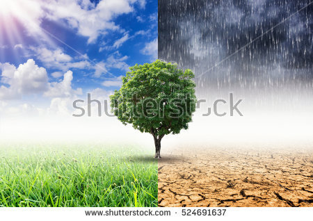 stock-photo-tree-with-environmental-change-climate-change-and-weather-change-524691637.jpg stock-photo-tree-with-environmental-change-climate-change-and-weather-change-524691637.jpg