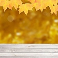 autumn-leavesphoto.jpg