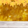 autumn-leavesphoto.jpg