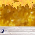 autumn-leavesphoto.jpg