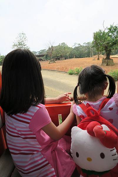 IMG_4632 IMG_4632