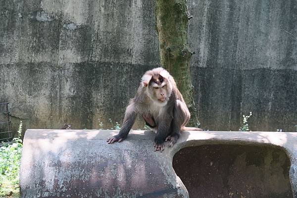 IMG_4696 IMG_4696