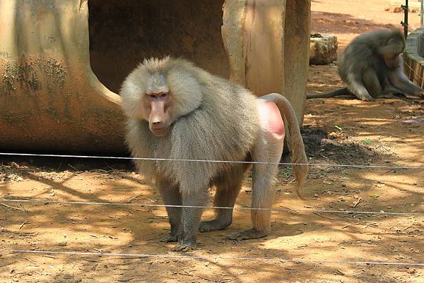 IMG_4702 IMG_4702