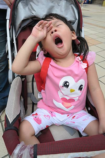 IMG_4766 IMG_4766