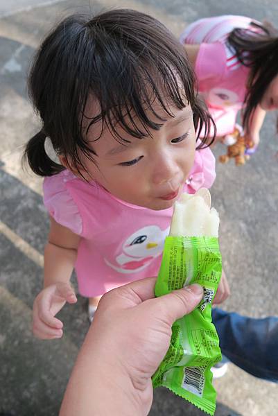 IMG_4805 IMG_4805