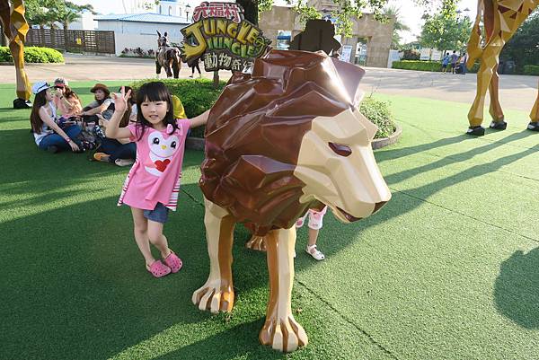 IMG_4809 IMG_4809