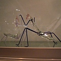 CIMG3900.JPG