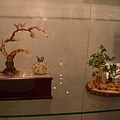 CIMG3920.JPG