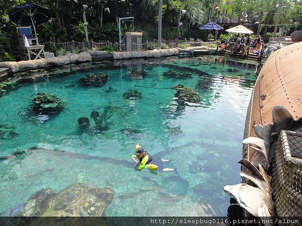 Typhoon Lagoon-23