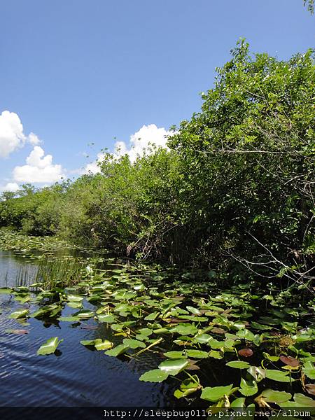 EvergladesNP-10