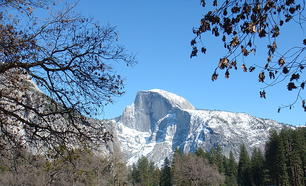 Half Dome-1.jpg