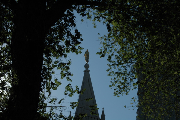 DSC_0365.JPG DSC_0365.JPG
