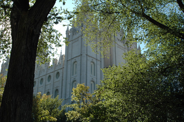 DSC_0376.JPG DSC_0376.JPG