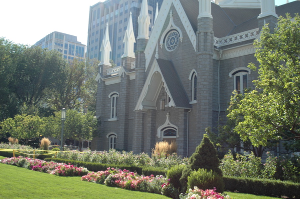 DSC_0386.JPG DSC_0386.JPG