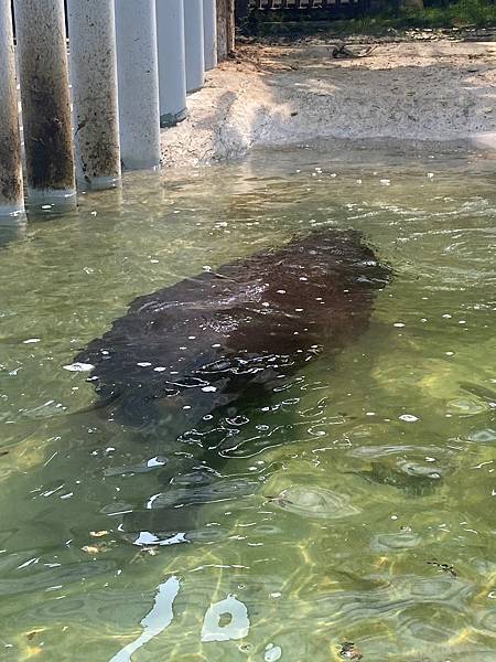 壽山動物園 (14).jpg