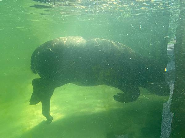 壽山動物園 (16).jpg