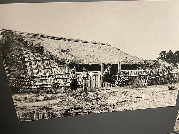 順益原住民族博物館 (31).jpg