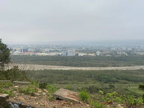 銅鑼炮仗花海公園 (6).jpg