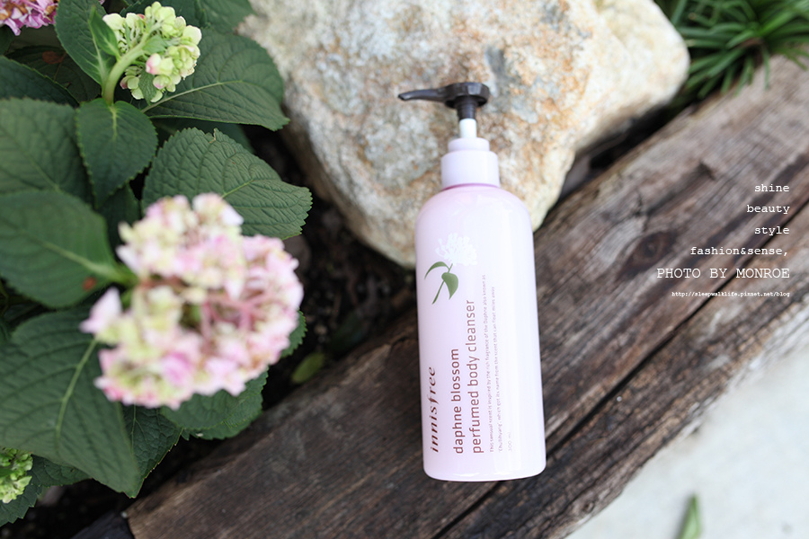 innisfree-05