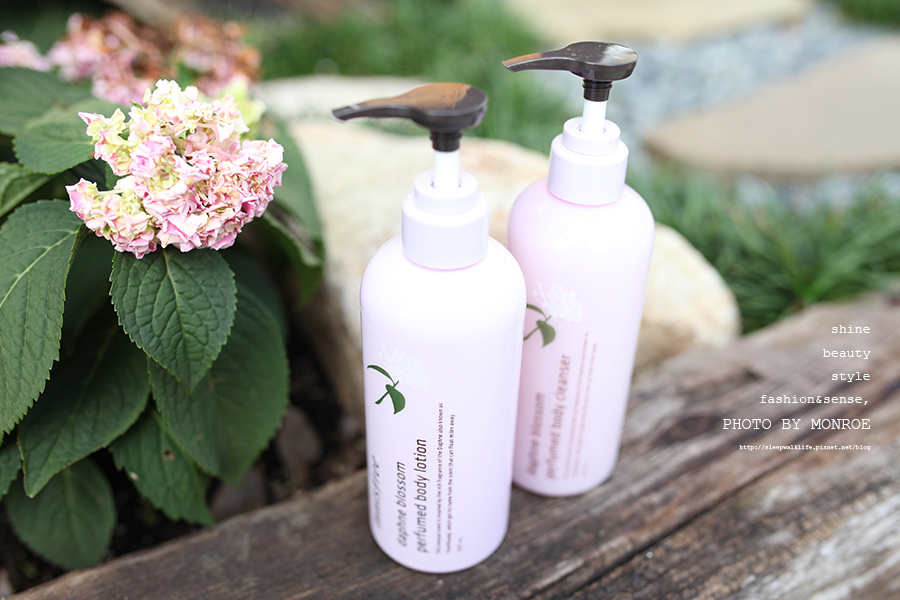 innisfree-04