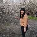 P1060736.JPG
