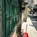 IMG_7910.JPG
