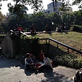 IMG_7911.JPG