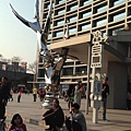 IMG_7920.JPG