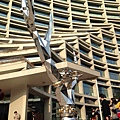 IMG_7921.JPG