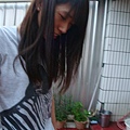 DSC00536.JPG