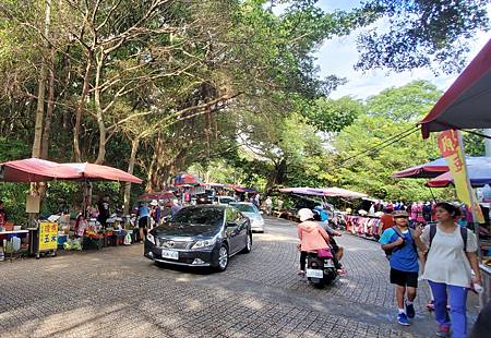 桃園 虎頭山：奧爾森林公園/ 香菇亭步道/ 全齡無障礙步道系