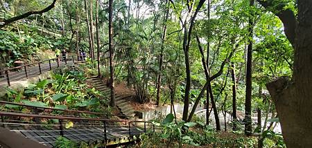 桃園 虎頭山：奧爾森林公園/ 香菇亭步道/ 全齡無障礙步道系