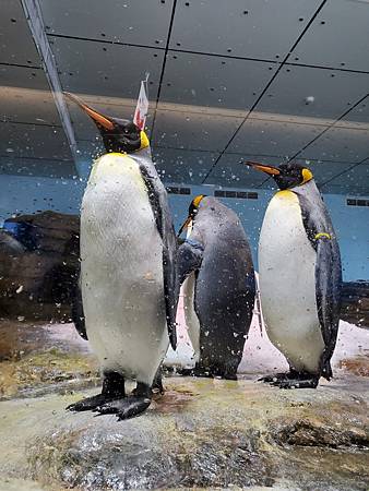 北台灣21個帶小小孩值得一遊的樂園公園動物園（農場）：帶著雙