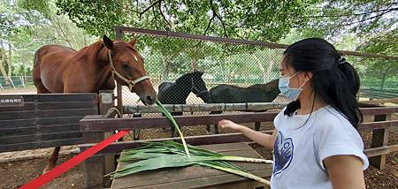 北台灣21個帶小小孩值得一遊的樂園公園動物園（農場）：帶著雙