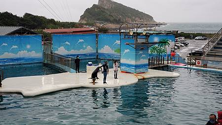 新北 野柳海洋世界：寓教於樂的海獅海豚show/ 望海亭活海