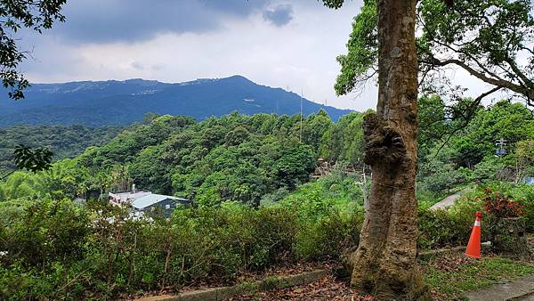 新北 文山農場：歷史悠久茶葉指導所/ 腹地大環境優美/ 文山