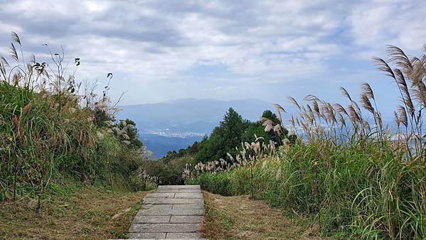 新北平溪 五分山步道：賞芒花/ 親子健行步道/ 100分的美