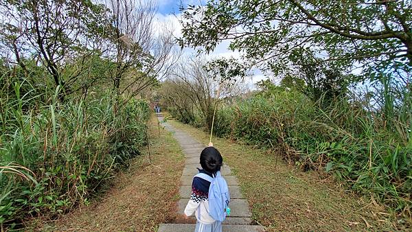 新北平溪 五分山步道：賞芒花/ 親子健行步道/ 100分的美