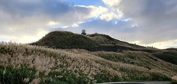 新北平溪 五分山步道：賞芒花/ 親子健行步道/ 100分的美