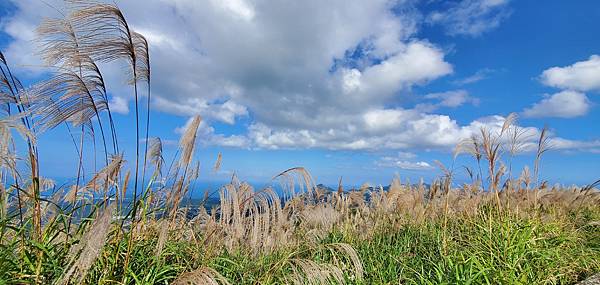 新北平溪 五分山步道：賞芒花/ 親子健行步道/ 100分的美