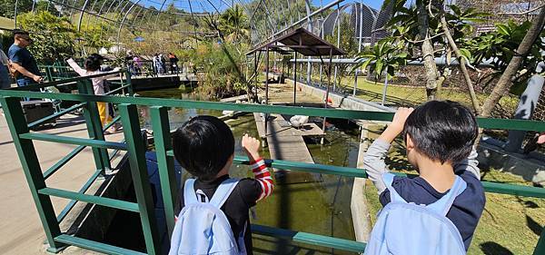 南投霧峰 九九峰動物樂園：名副其實的動物樂園/ 近距離觀賞鳥