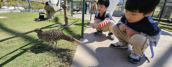 南投霧峰 九九峰動物樂園：名副其實的動物樂園/ 近距離觀賞鳥