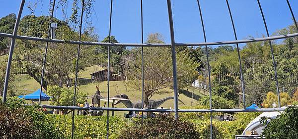 南投霧峰 九九峰動物樂園：名副其實的動物樂園/ 近距離觀賞鳥