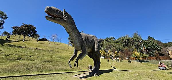 南投霧峰 九九峰動物樂園：名副其實的動物樂園/ 近距離觀賞鳥