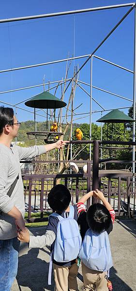 南投霧峰 九九峰動物樂園：名副其實的動物樂園/ 近距離觀賞鳥