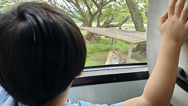 新竹 六福村六福莊：帶著5歲以下幼童遊玩心得/ 來去動物園住