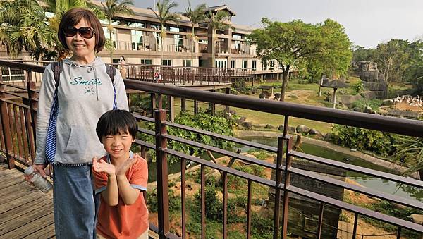 新竹 六福村六福莊：帶著5歲以下幼童遊玩心得/ 來去動物園住