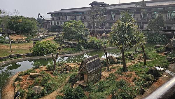 新竹 六福村六福莊：帶著5歲以下幼童遊玩心得/ 來去動物園住