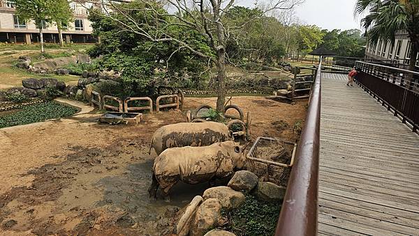 新竹 六福村六福莊：帶著5歲以下幼童遊玩心得/ 來去動物園住